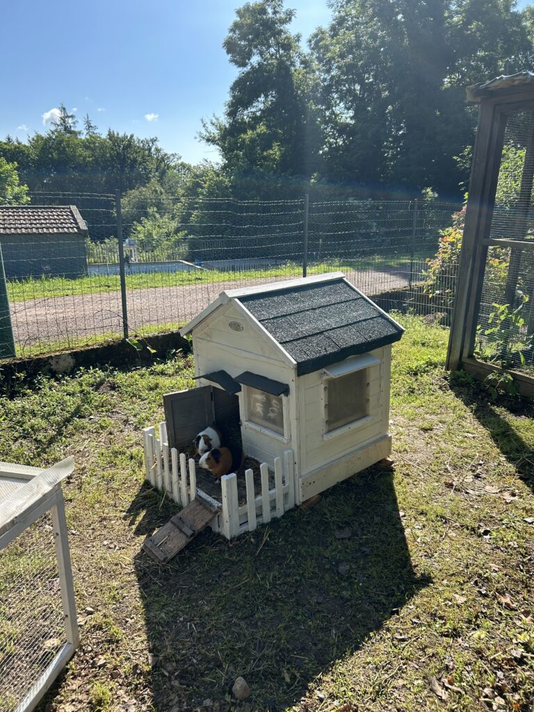 Camping Les Suchères - Cavia's