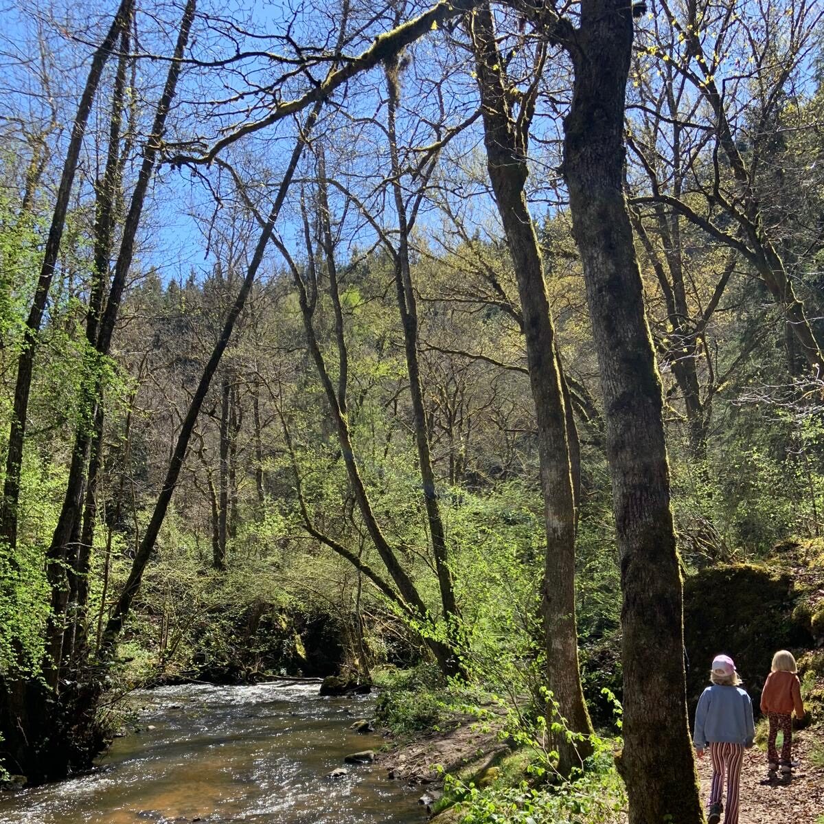 Camping Les Suchères - Omgeving