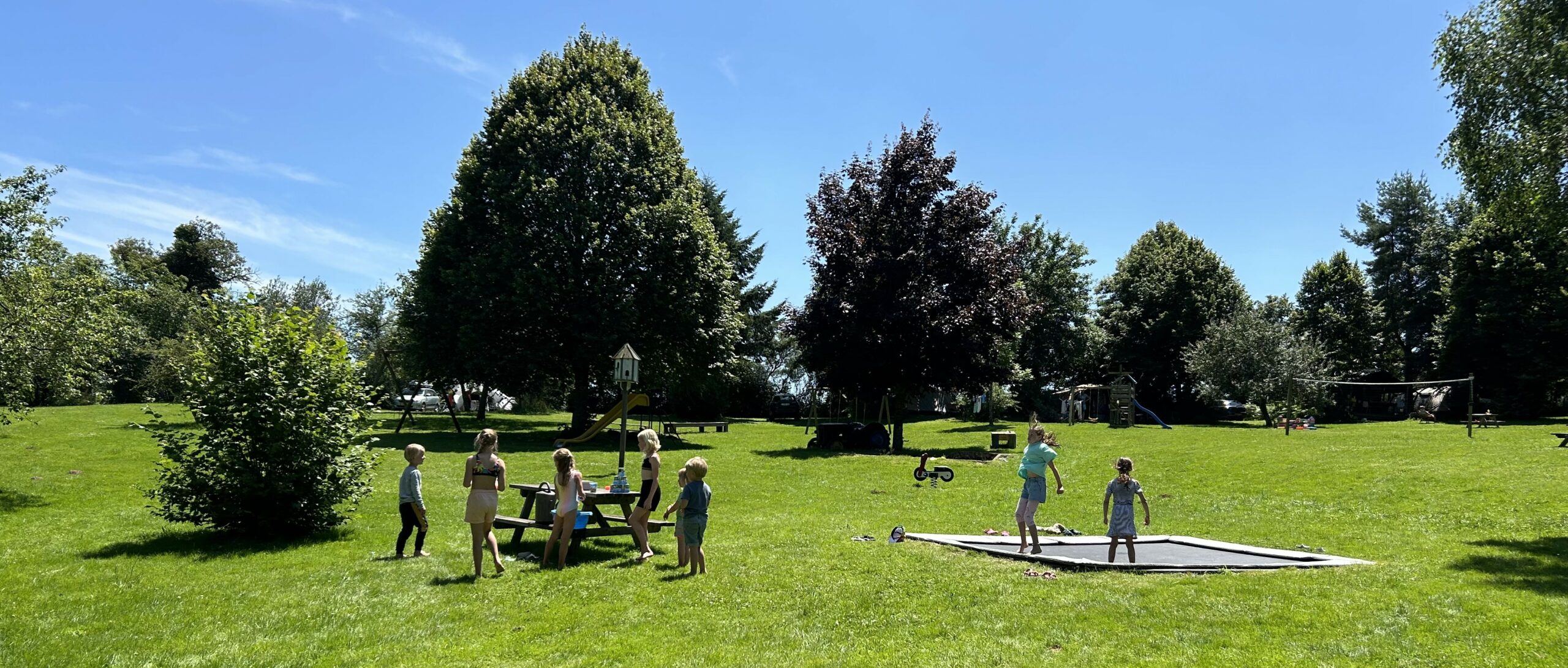 Les Suchères — photo 8